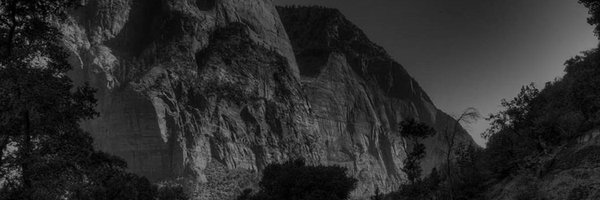 vinchbat Profile Banner