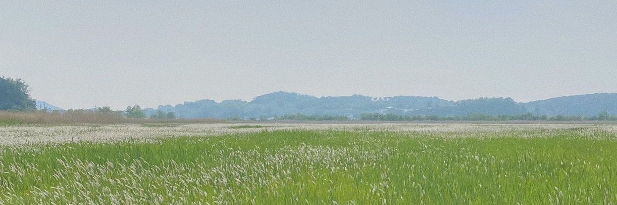 fjirysi's profile banner image