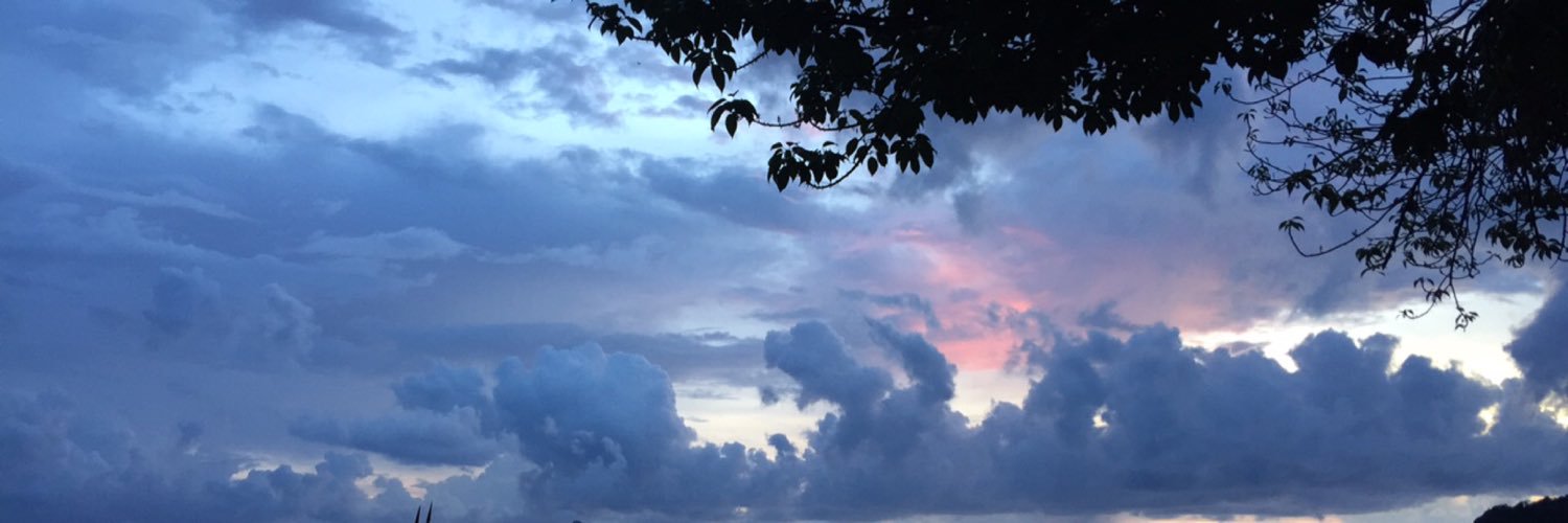 eenasantos's profile banner image