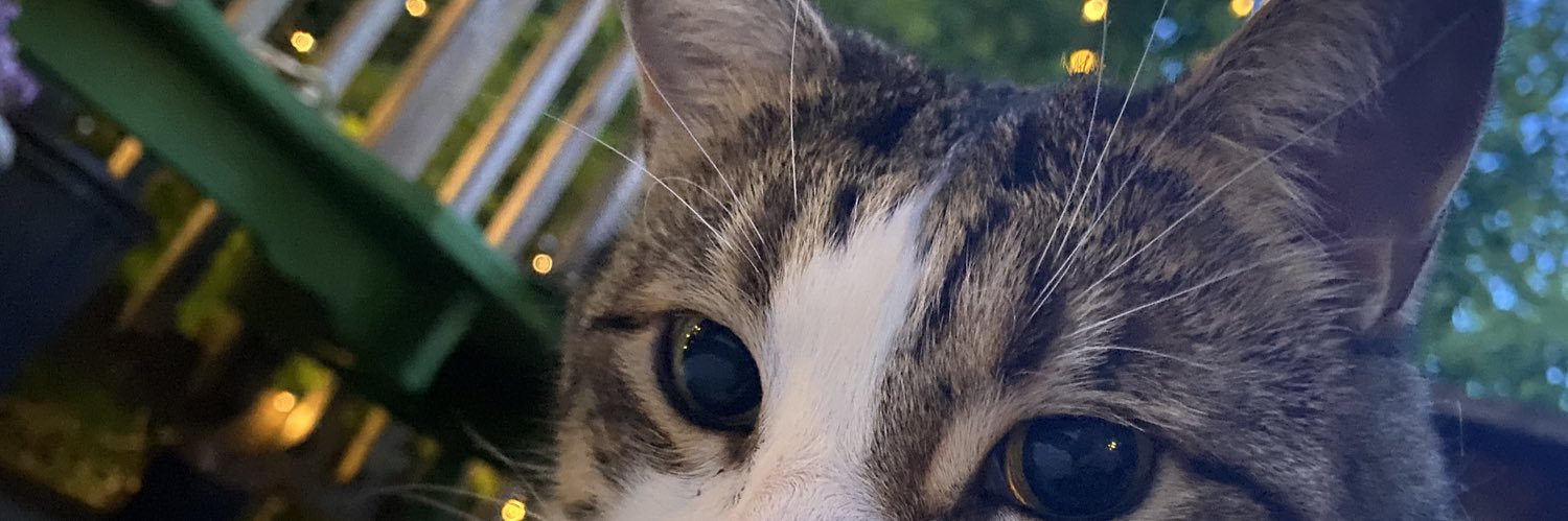 chawnafish's profile banner image