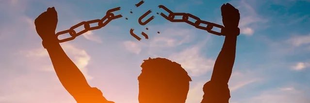carlee but wacky banner