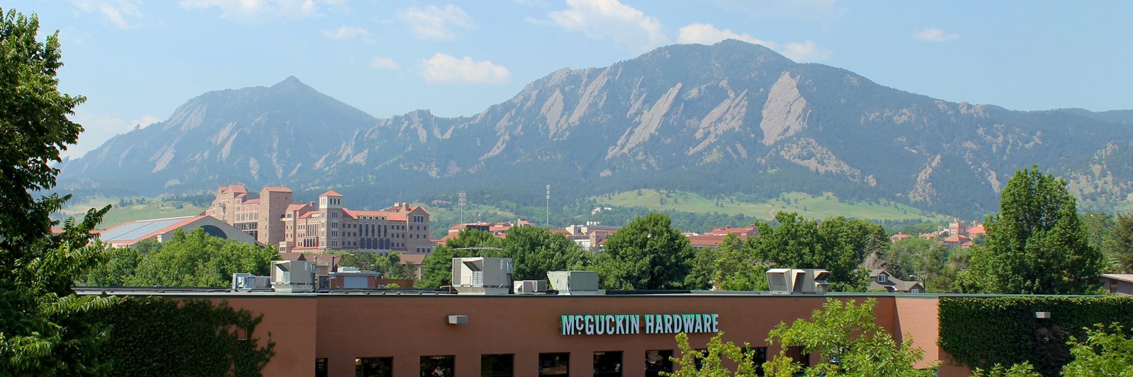 McGuckins's profile banner image