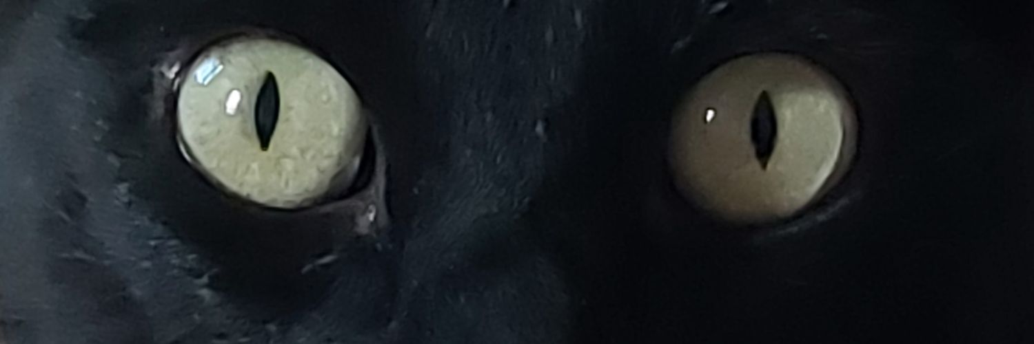 si_soy_Eva's profile banner image