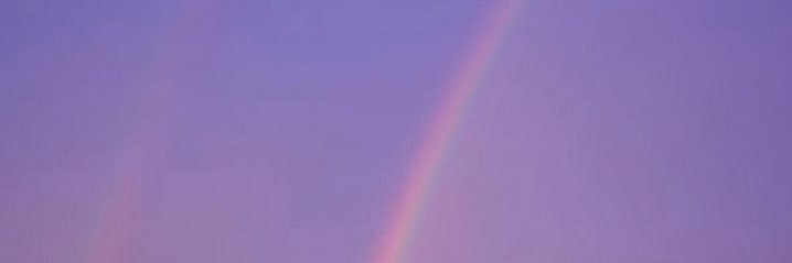 bealuver's profile banner image