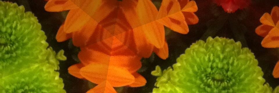 Eilene banner