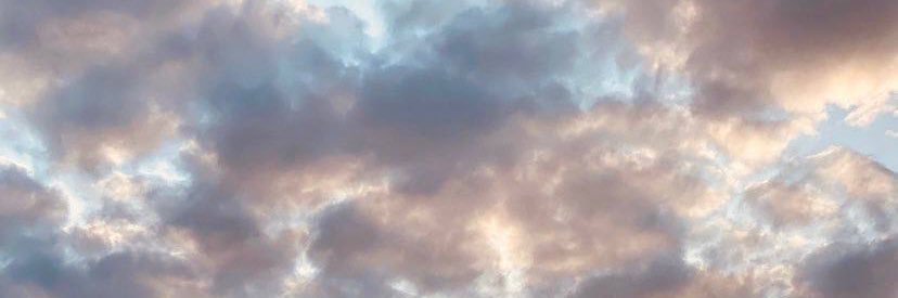 blowupdumpling's profile banner image