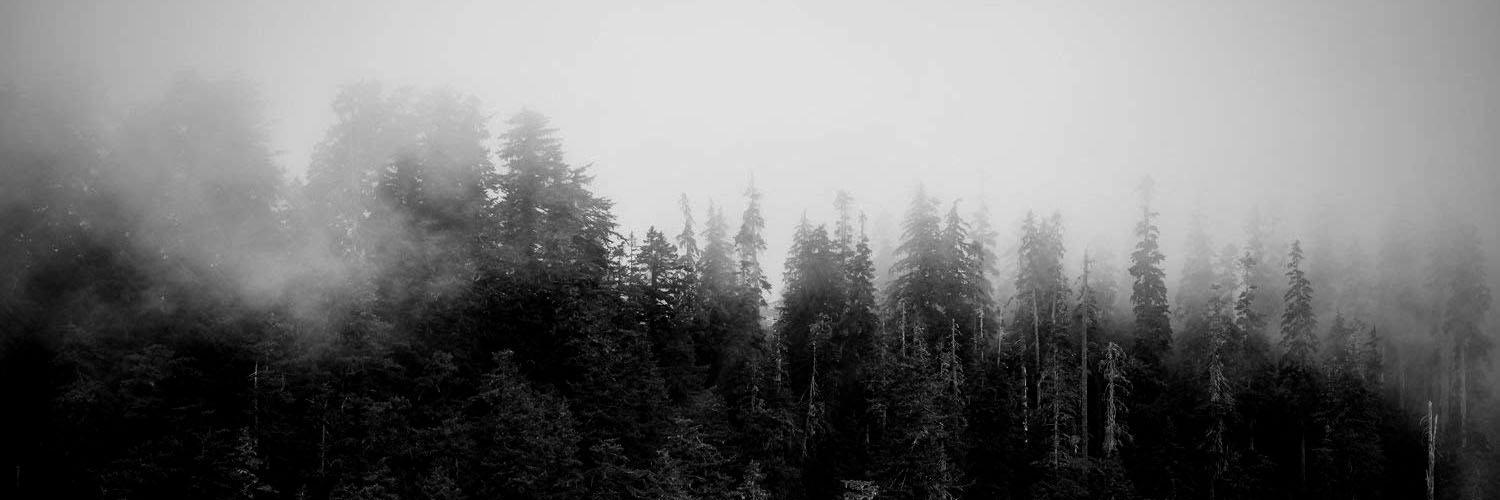 bymoonlightmade's profile banner image