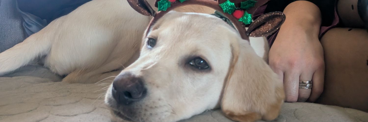 hodson_dean's profile banner image