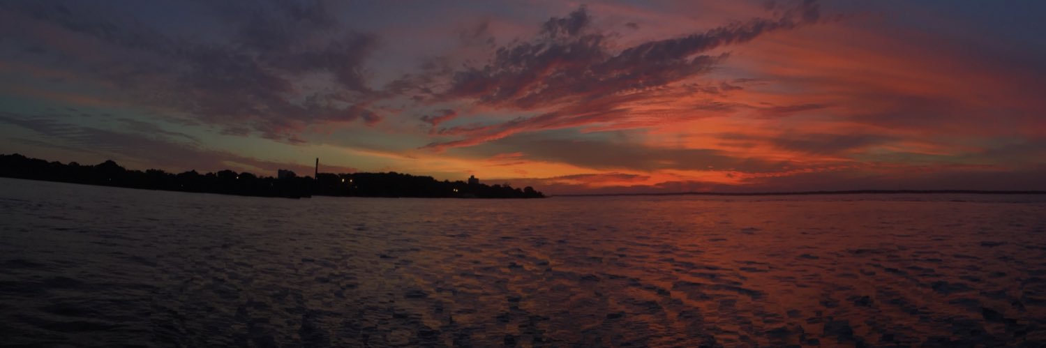 florbende's profile banner image