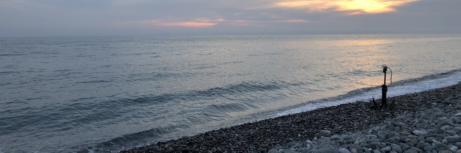 alinchosss's profile banner image