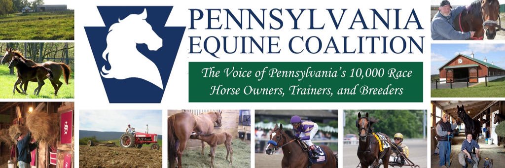 PaEquine's profile banner image