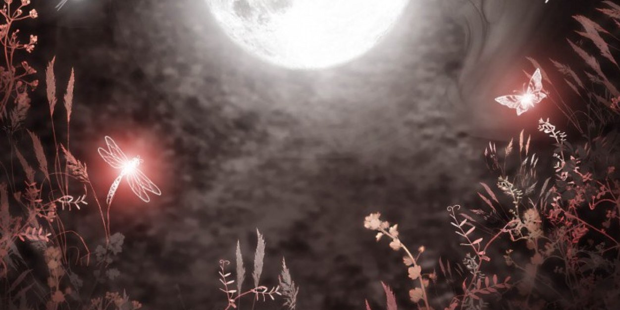 LadyCamilleB's profile banner image