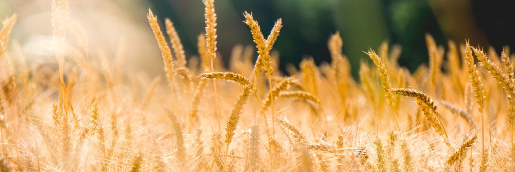 FARMTheory's profile banner image