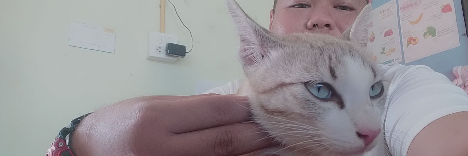 NuNewPong's profile banner image