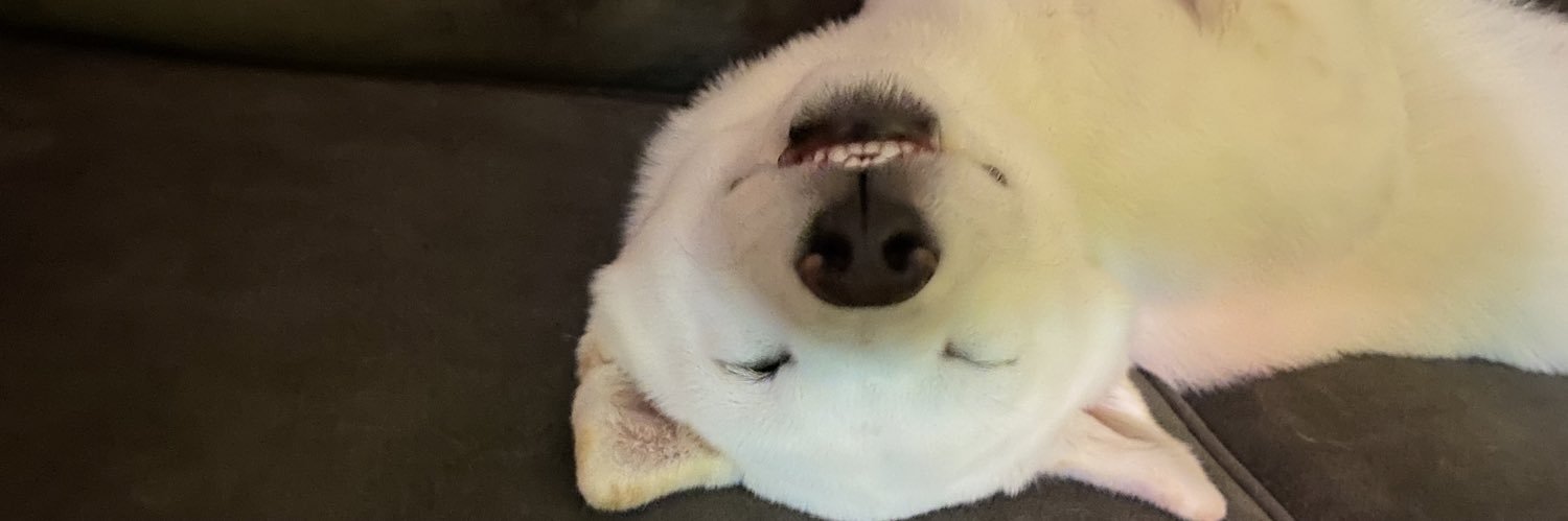 kianarod's profile banner image