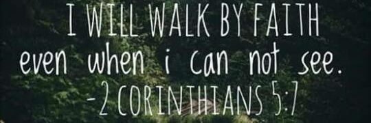 Dark Dindi👑 banner