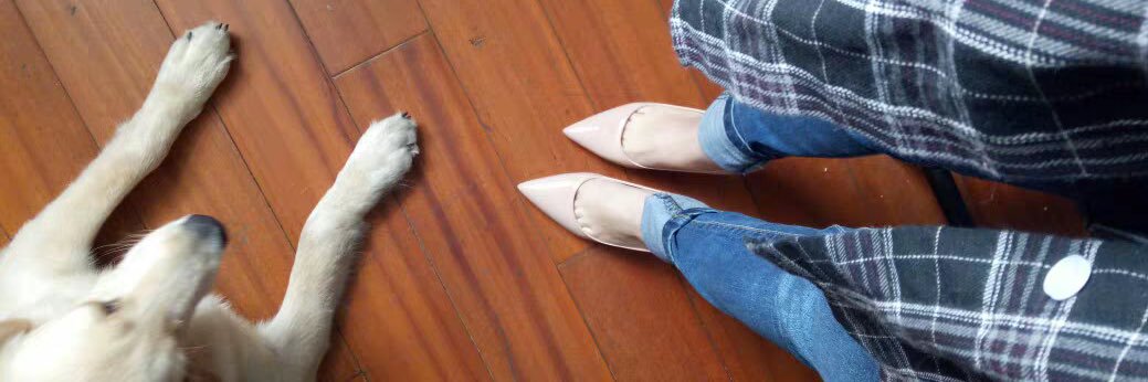 汐儿会魔法s banner