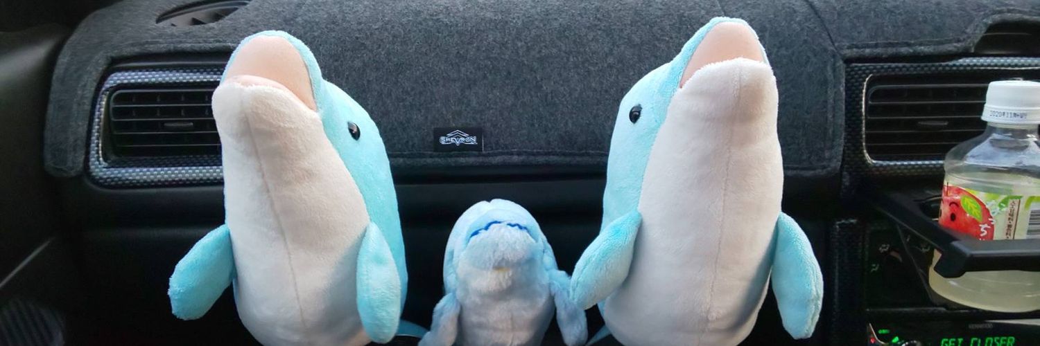 Angelo_dolphin's profile banner image