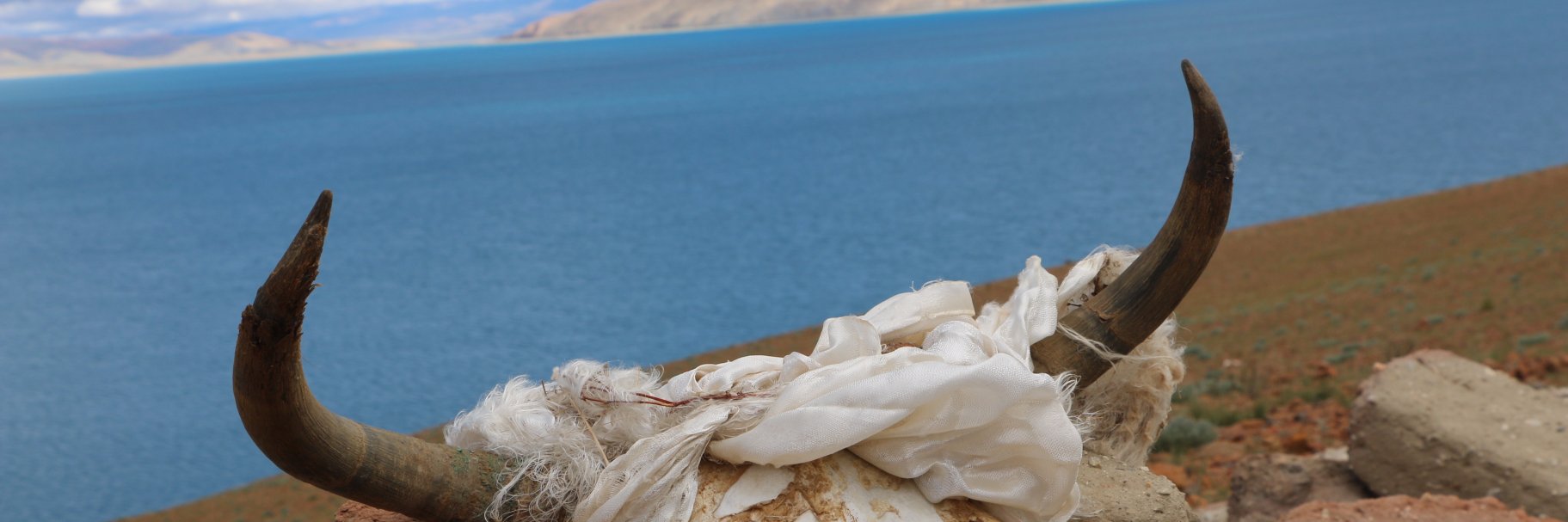 KshiteeshJha's profile banner image
