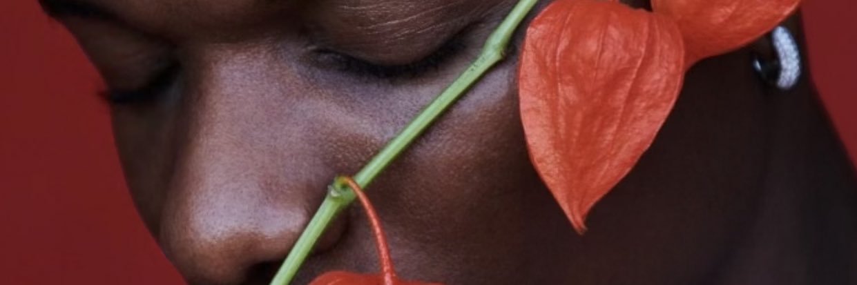 NathanDcoder's profile banner image