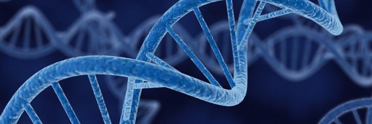 Kristina Araman Saadé banner