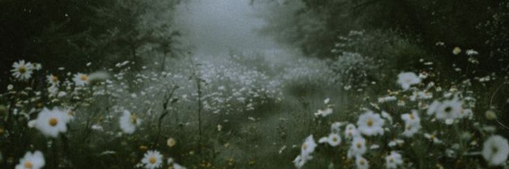 moonvelour banner