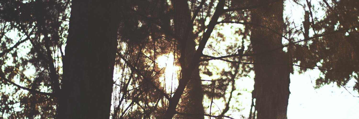 Baskoro Prasetyo banner