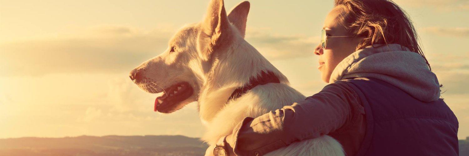 cowtownpets's profile banner image