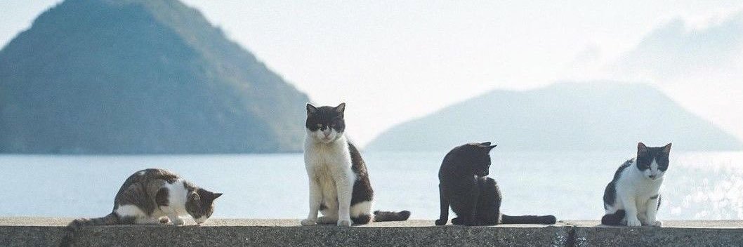 uoix_'s profile banner image