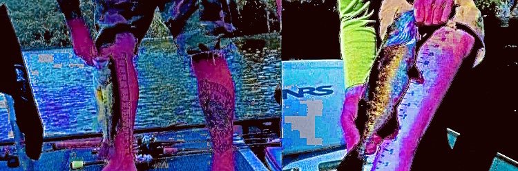 nathanthrower's profile banner image