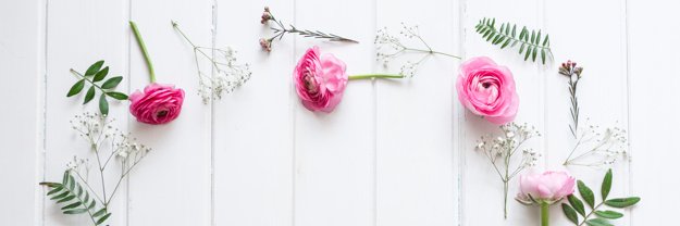 Anilk_14's profile banner image