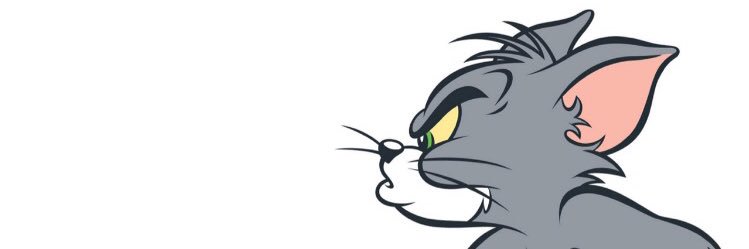 roogowska's profile banner image
