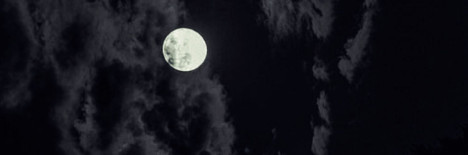 یاسر سالک‌‌نیا's banner
