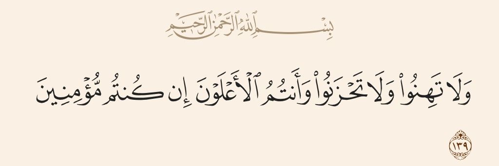 یاسر سالک‌‌نیا 🎒 banner