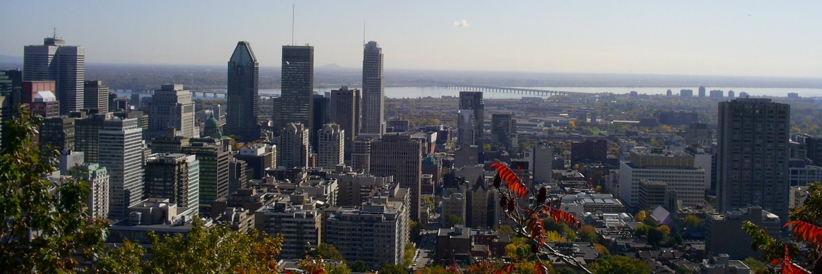 AContramusic's profile banner image