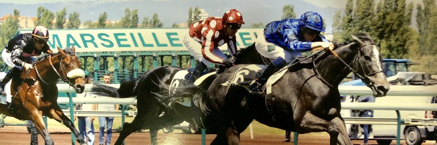 brunopanicucci's profile banner image