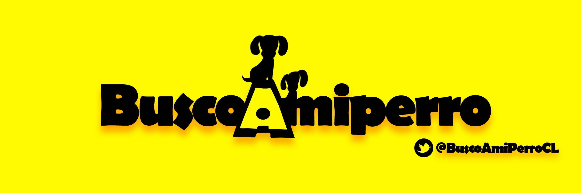 BuscoAmiPerroCL's profile banner image