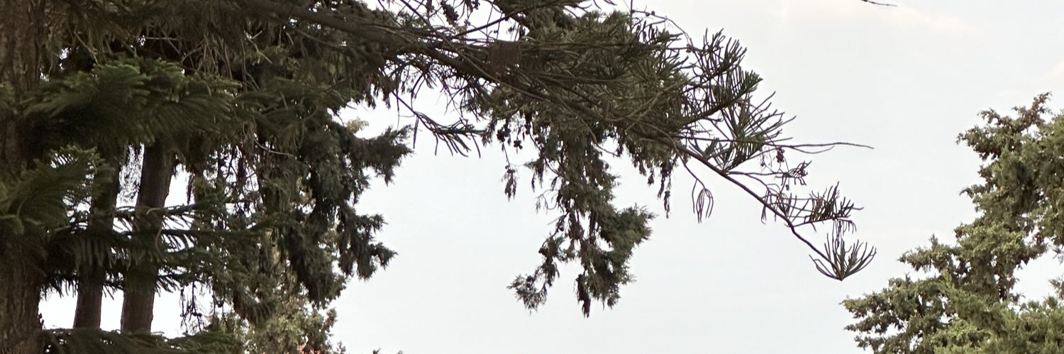 Razan Alqahtani banner