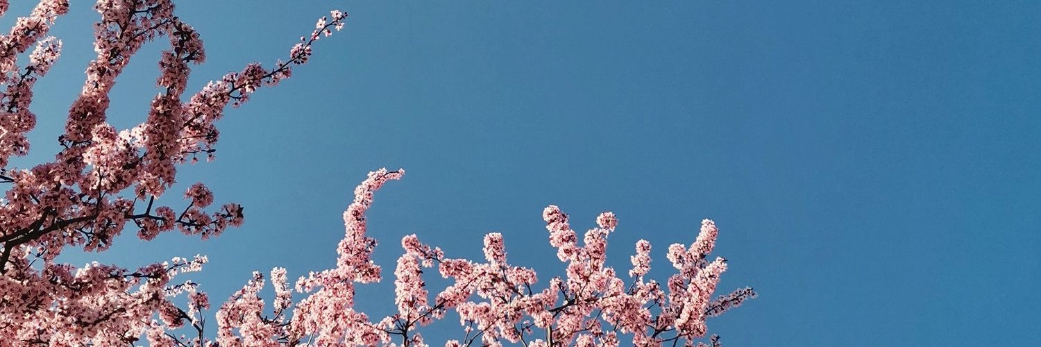 BelenIsDiferent's profile banner image