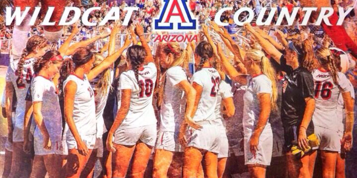 haley75wildcat's profile banner image