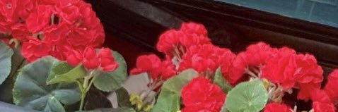 une_amazone's profile banner image