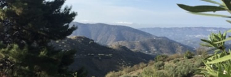 sjw428's profile banner image