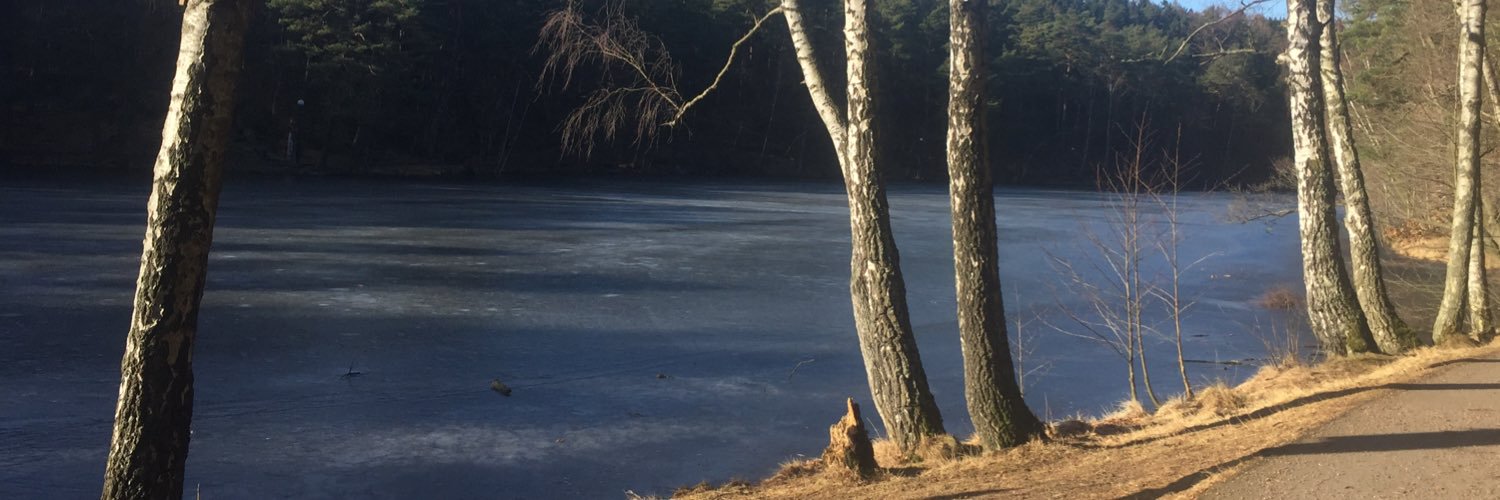 Oweson's profile banner image