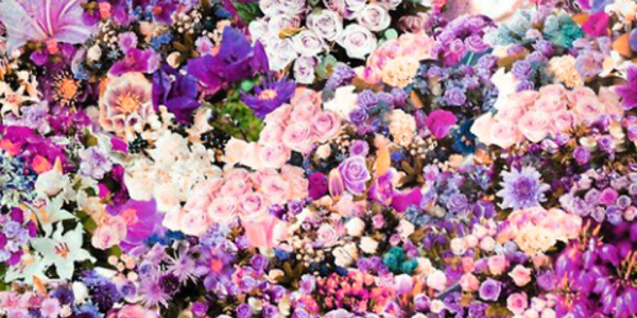 Raquel banner