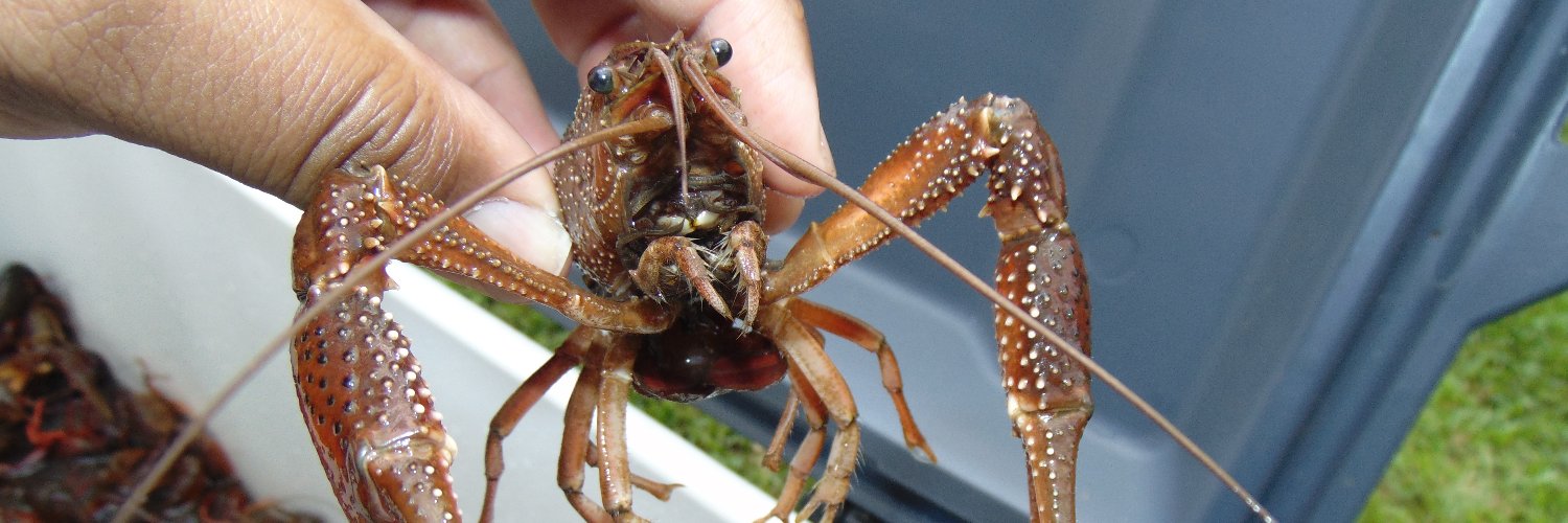 PuffyDearlySmith banner