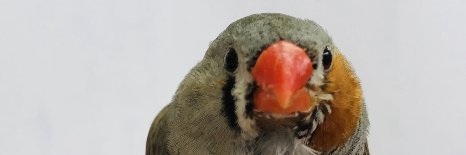 Barbara Caspers banner