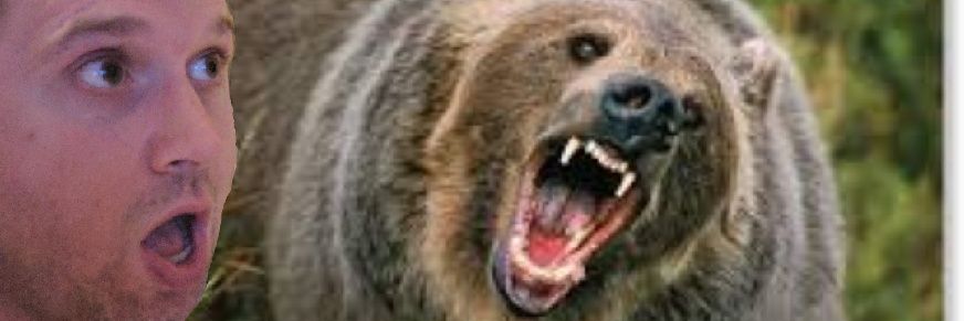 Bruce Gee - Enter the Dragonfly banner