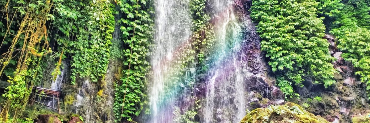 🄽🄾 🄾🄽🄴 banner