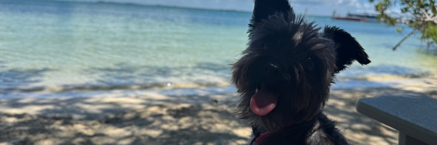 Stephen Rummage banner