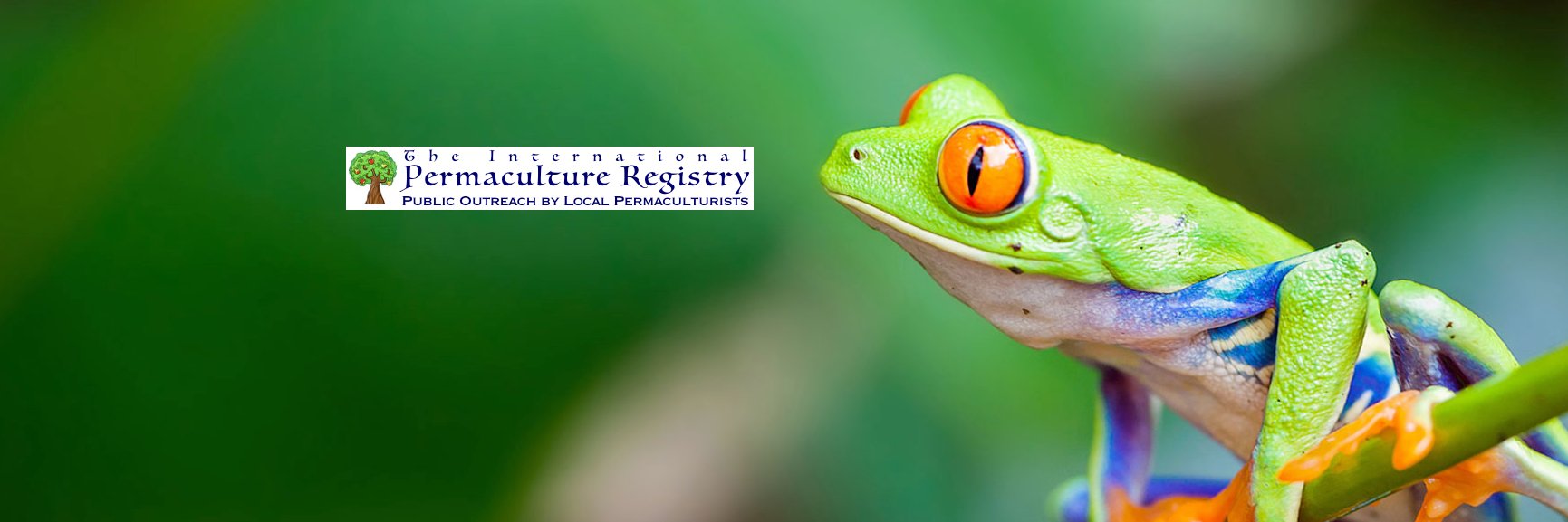 permaculturereg's profile banner image